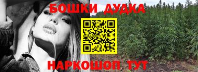 spice Камышлов