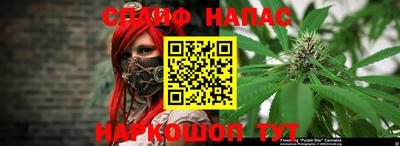 spice Камышлов