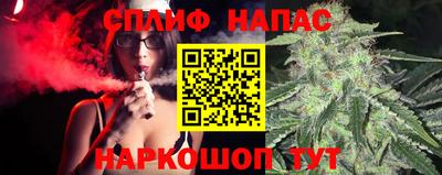 spice Камышлов