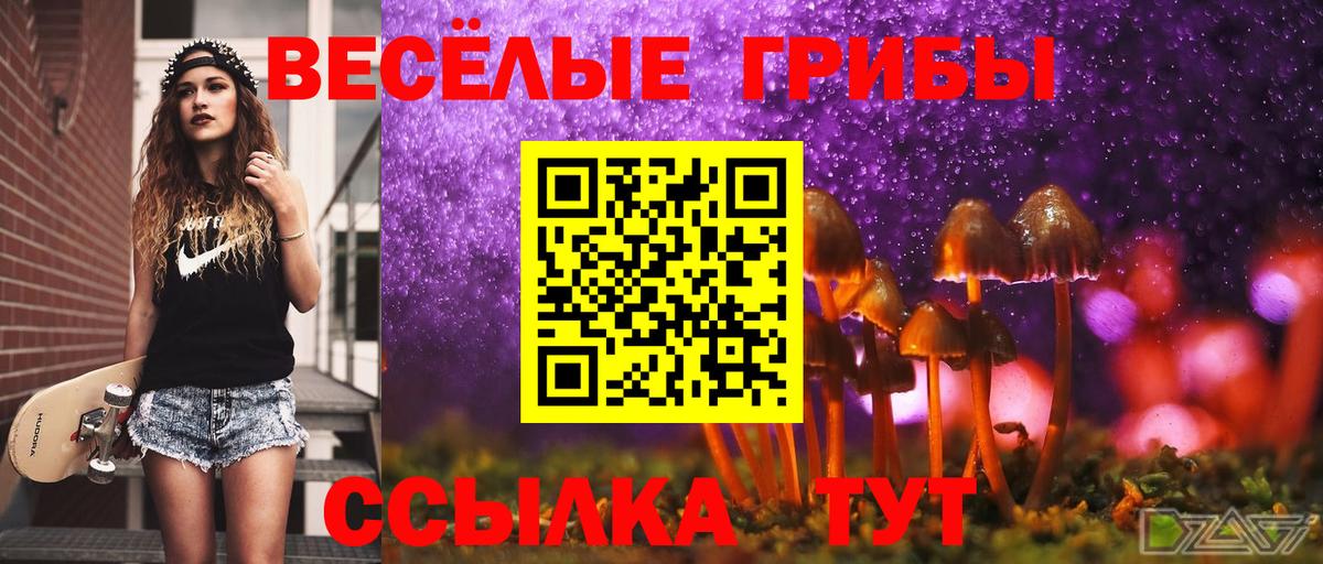 Касимов  Галлюциногенные грибы MAGIC MUSHROOMS  Вход с VPN 